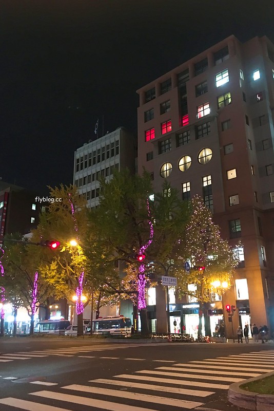 日本大阪｜大阪光之饗宴｜大阪光之饗宴，2019/11/4~ 2020/1/31，御堂筋(阪神前交差点~難波西口交差点) @飛天璇的口袋