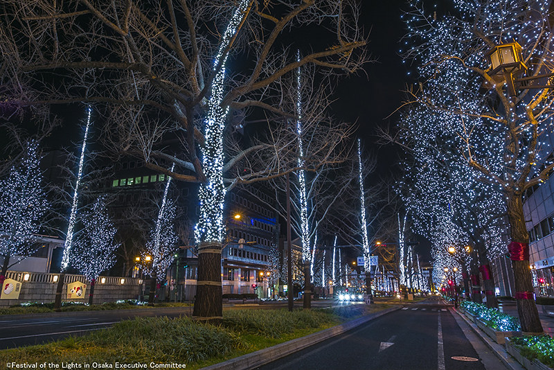 日本大阪｜大阪光之饗宴｜大阪光之饗宴，2019/11/4~ 2020/1/31，御堂筋(阪神前交差点~難波西口交差点) @飛天璇的口袋