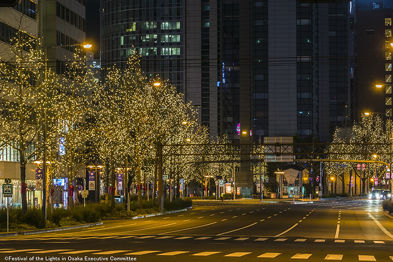 日本大阪｜大阪光之饗宴｜大阪光之饗宴，2019/11/4~ 2020/1/31，御堂筋(阪神前交差点~難波西口交差点) @飛天璇的口袋