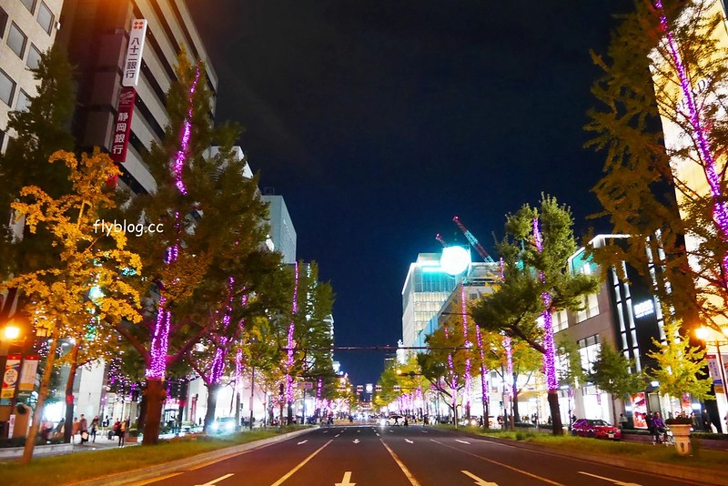 日本大阪｜大阪光之饗宴｜大阪光之饗宴，2019/11/4~ 2020/1/31，御堂筋(阪神前交差点~難波西口交差点) @飛天璇的口袋