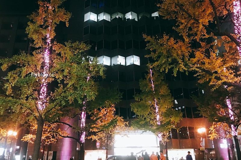 日本大阪｜大阪光之饗宴｜大阪光之饗宴，2019/11/4~ 2020/1/31，御堂筋(阪神前交差点~難波西口交差点) @飛天璇的口袋