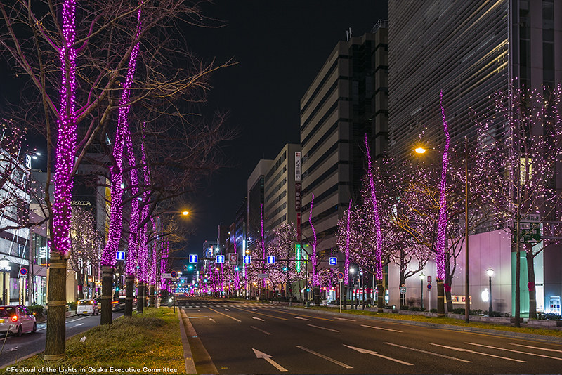 日本大阪｜大阪光之饗宴｜大阪光之饗宴，2019/11/4~ 2020/1/31，御堂筋(阪神前交差点~難波西口交差点) @飛天璇的口袋
