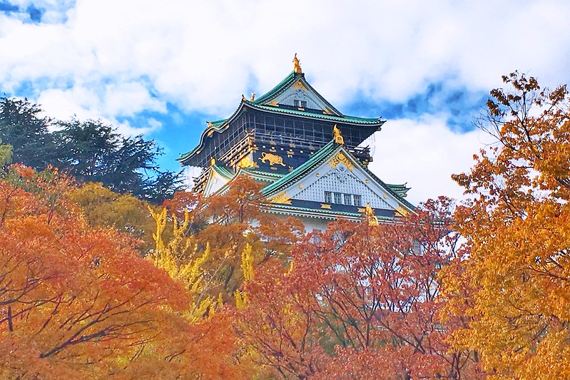 【日本大阪】日本自由行APP推薦~即時匯率換算 ・電車乗換案内 ・店家景點搜尋・美食購物遊樂優惠券 ・商品條碼翻譯 ・行李寄存預約服務・線上客服諮詢 @飛天璇的口袋