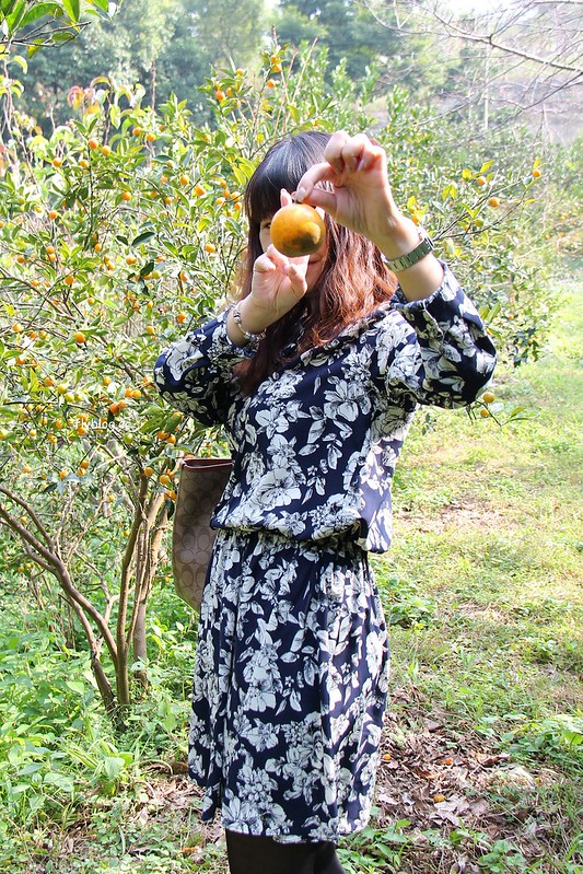 2018花博在后里┃台中后里：結果花博以及農遊，採果、露營、梨の筆DIY，搭配兩天一夜露營行程，后里也有不同的玩法 @飛天璇的口袋