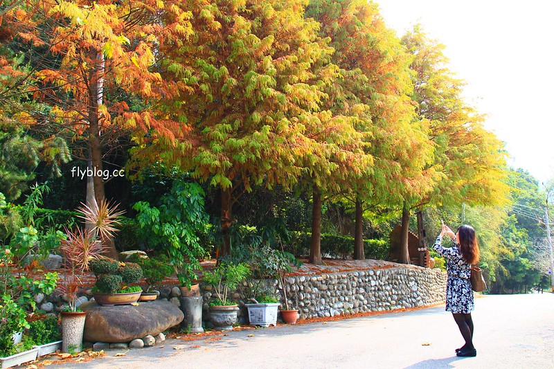 2018花博在后里┃台中后里：結果花博以及農遊，採果、露營、梨の筆DIY，搭配兩天一夜露營行程，后里也有不同的玩法 @飛天璇的口袋