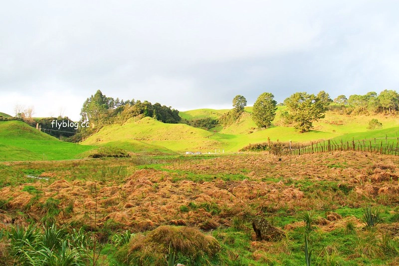 紐西蘭漢密爾頓｜藍泉 Blue Spring Putaruru．紐西蘭北島的神秘景點，清澈夢幻的藍色泉水，紐西蘭70%的瓶裝水出處 @飛天璇的口袋