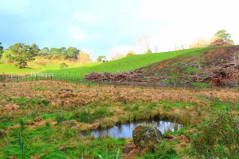 紐西蘭漢密爾頓｜藍泉 Blue Spring Putaruru．紐西蘭北島的神秘景點，清澈夢幻的藍色泉水，紐西蘭70%的瓶裝水出處 @飛天璇的口袋