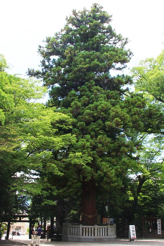 日本長野｜諏訪湖，動漫電影「你的名字」中系守湖的場景巡禮，同場加映日本最古老的神社之一「諏訪大社」 @飛天璇的口袋