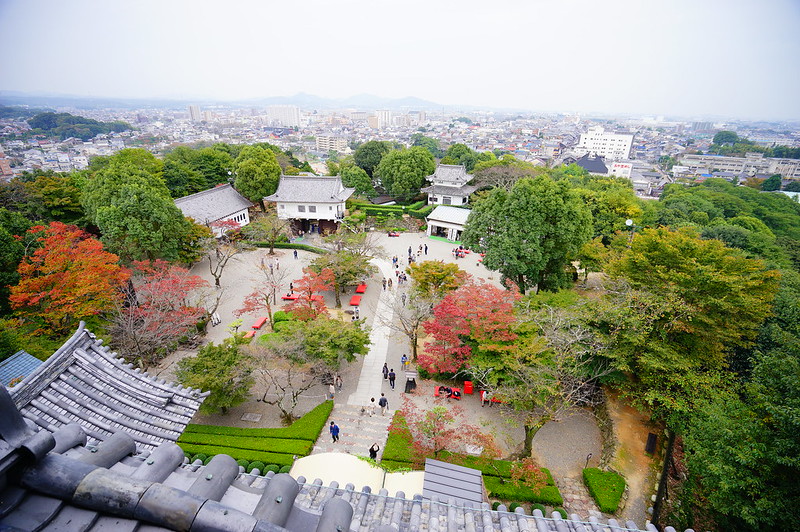 日本愛知｜犬山城．日本5大國寶城之一，犬山城下町美食景點，名古屋到犬山城的交通方式 @飛天璇的口袋