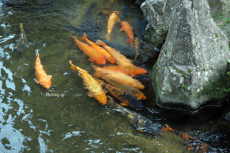 日本岐阜｜飛驒古川．電影你的名字拍攝聖地巡禮，JR高山站15分鐘車程抵達 @飛天璇的口袋