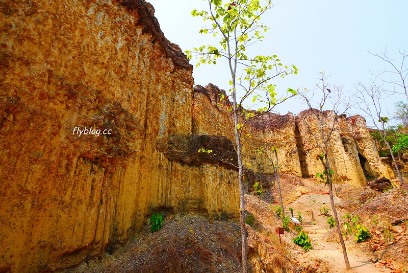 泰國清邁｜帕丘峽谷 Pha Chor｜清邁近郊小秘境，1.5車程即可抵達，四個女子的美麗冒險 @飛天璇的口袋