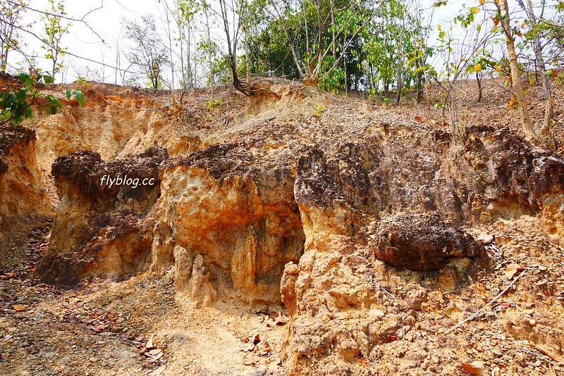泰國清邁｜帕丘峽谷 Pha Chor｜清邁近郊小秘境，1.5車程即可抵達，四個女子的美麗冒險 @飛天璇的口袋