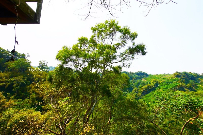 台中石岡｜仙塘跡餐廳，為了燜鴨專程來朝聖，非常隱密生意卻超好的景觀餐廳 @飛天璇的口袋