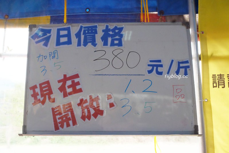 台中潭子｜草莓世界．採草莓不用到苗栗大湖，台中潭子就有草莓園，無毒有機草莓吃的安心 @飛天璇的口袋