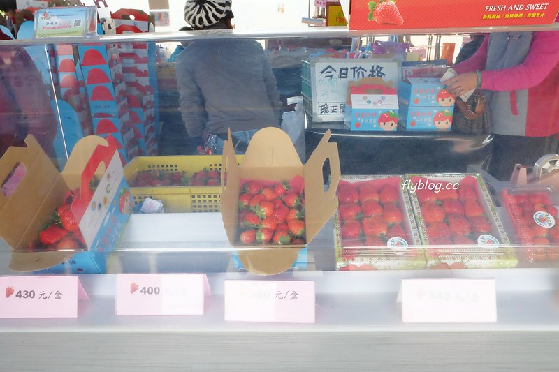 台中潭子｜草莓世界．採草莓不用到苗栗大湖，台中潭子就有草莓園，無毒有機草莓吃的安心 @飛天璇的口袋