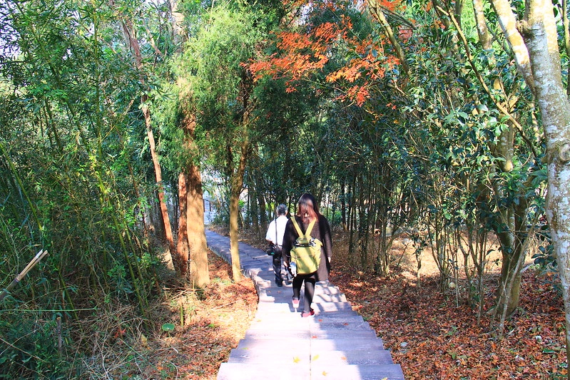 2018花博在后里┃台中后里：結果花博以及農遊，採果、露營、梨の筆DIY，搭配兩天一夜露營行程，后里也有不同的玩法 @飛天璇的口袋