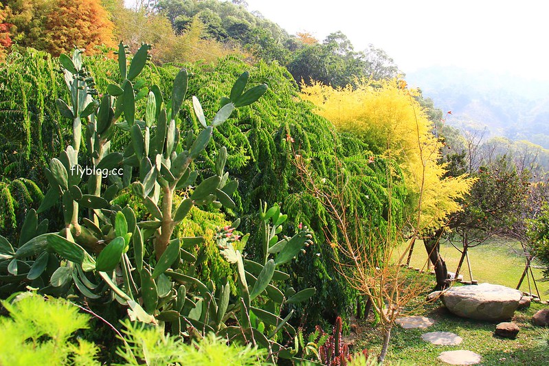 2018花博在后里┃台中后里：結果花博以及農遊，採果、露營、梨の筆DIY，搭配兩天一夜露營行程，后里也有不同的玩法 @飛天璇的口袋