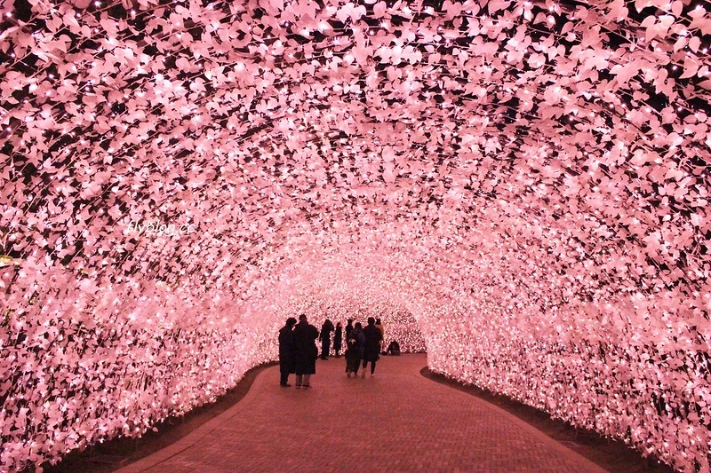 日本三重｜名花之里 なばなの里．日本三大燈季之一，名古屋到名花之里交通方式 @飛天璇的口袋