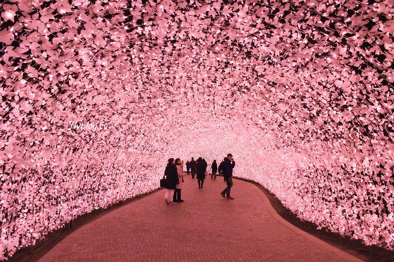 日本三重｜名花之里 なばなの里．日本三大燈季之一，名古屋到名花之里交通方式 @飛天璇的口袋