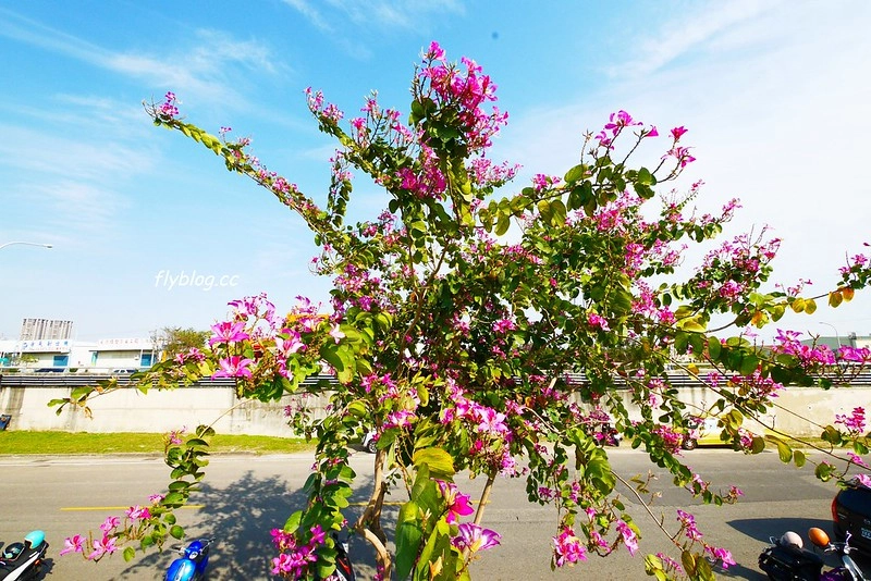 筏子溪迎賓水岸廊道┃台中南屯：台中美麗新地標，4公尺高的TAICHUN字體，台中IG超夯打卡新景點 @飛天璇的口袋