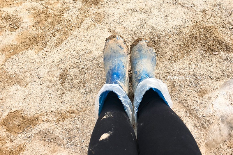 台中潭子｜草莓世界．採草莓不用到苗栗大湖，台中潭子就有草莓園，無毒有機草莓吃的安心 @飛天璇的口袋
