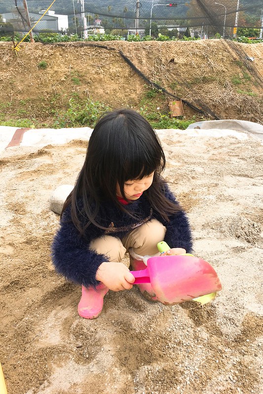 台中潭子｜草莓世界．採草莓不用到苗栗大湖，台中潭子就有草莓園，無毒有機草莓吃的安心 @飛天璇的口袋