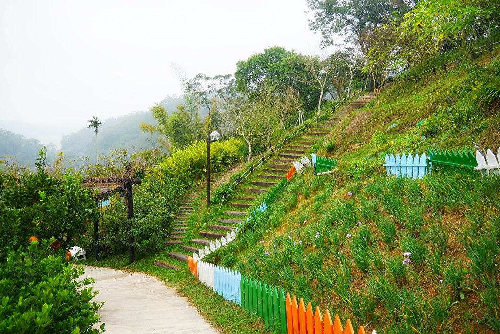苗栗頭屋｜橙香森林．森林裡面的浪漫玻璃屋，有大片草原和橙香隧道 @飛天璇的口袋