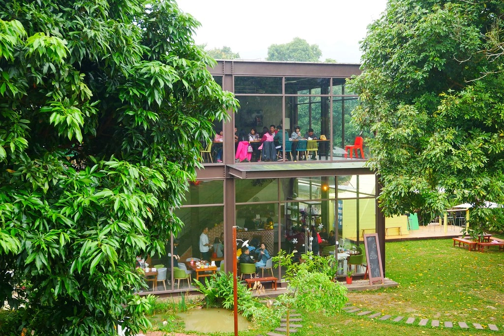 苗栗頭屋｜橙香森林．森林裡面的浪漫玻璃屋，有大片草原和橙香隧道 @飛天璇的口袋