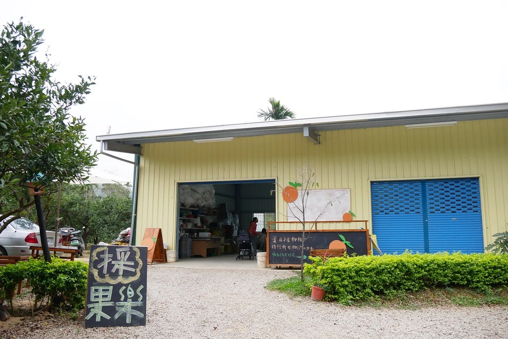 苗栗頭屋｜橙香森林．森林裡面的浪漫玻璃屋，有大片草原和橙香隧道 @飛天璇的口袋