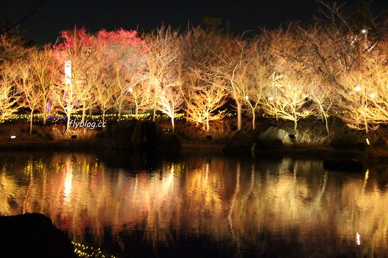 日本三重｜名花之里 なばなの里．日本三大燈季之一，名古屋到名花之里交通方式 @飛天璇的口袋