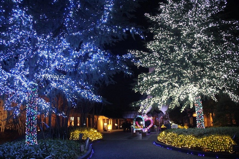 日本三重｜名花之里 なばなの里．日本三大燈季之一，名古屋到名花之里交通方式 @飛天璇的口袋