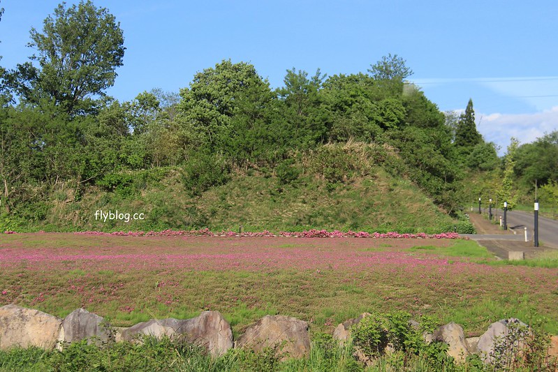 日本福島｜福島號 Fruitea甜點列車．鐵道迷必追奔馳的咖啡館，JR磐越西線的會津若松-郡山限定 @飛天璇的口袋