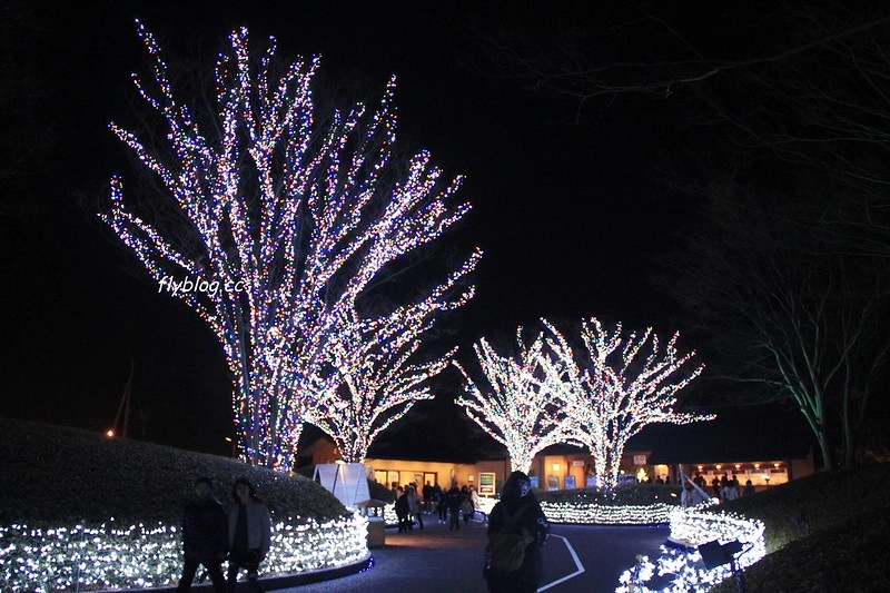日本三重｜名花之里 なばなの里．日本三大燈季之一，名古屋到名花之里交通方式 @飛天璇的口袋
