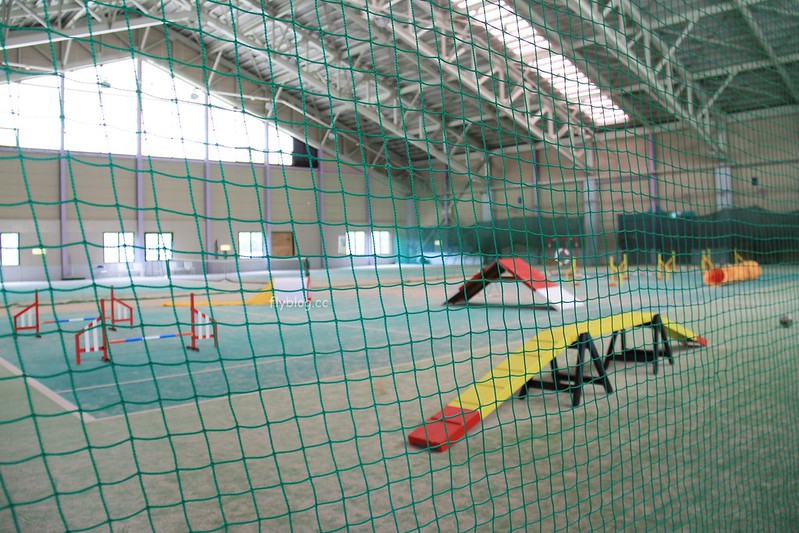 日本福島｜Angel Forest 天使之森那須白河．可愛的森林小圓屋，山林間的寵物友善飯店 @飛天璇的口袋