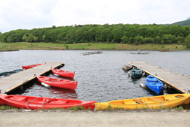 日本福島｜Angel Forest 天使之森那須白河．可愛的森林小圓屋，山林間的寵物友善飯店 @飛天璇的口袋