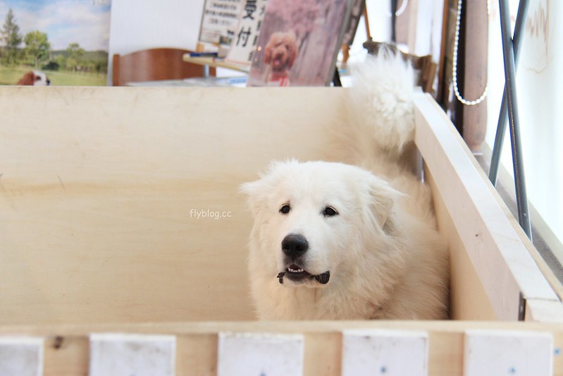 日本福島｜Angel Forest 天使之森那須白河．可愛的森林小圓屋，山林間的寵物友善飯店 @飛天璇的口袋