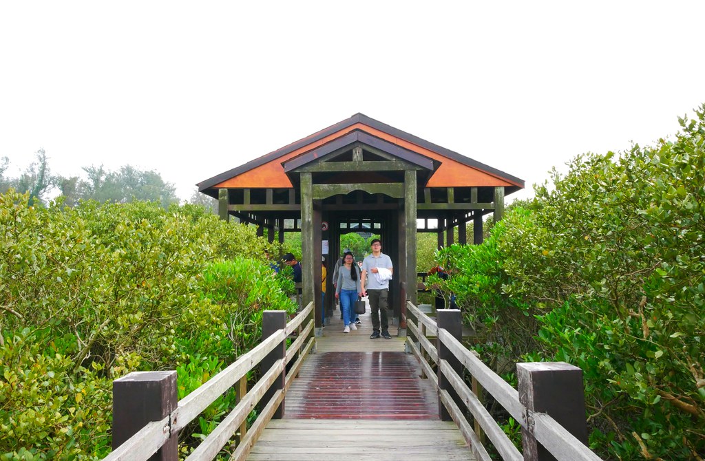 【新竹新豐】新豐紅樹林綠色步道：兼具休閒與觀光的生態保護區，走在被大自然包圍的綠色小隧道 @飛天璇的口袋