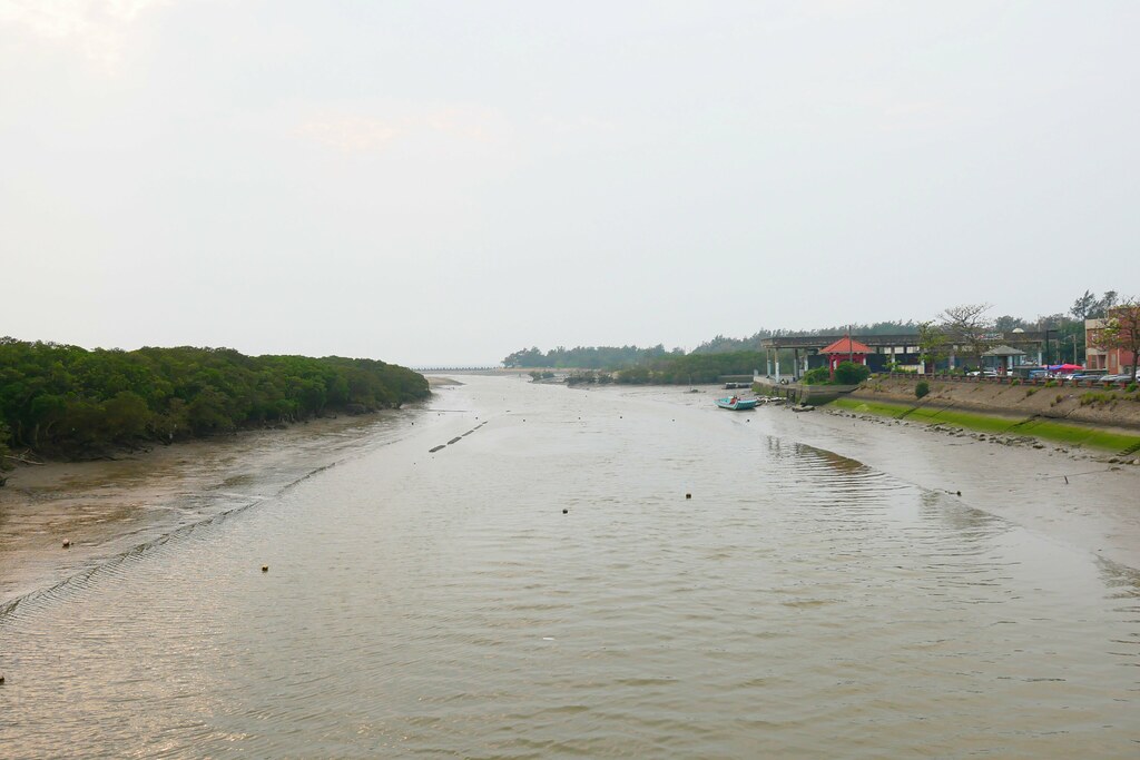 【新竹新豐】新豐紅樹林綠色步道：兼具休閒與觀光的生態保護區，走在被大自然包圍的綠色小隧道 @飛天璇的口袋