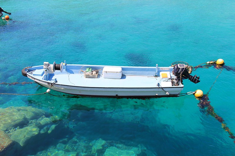 柏島．Kashiwajima┃日本高知：日本的蘭佩杜薩島，超療癒的IG熱門打卡點 @飛天璇的口袋