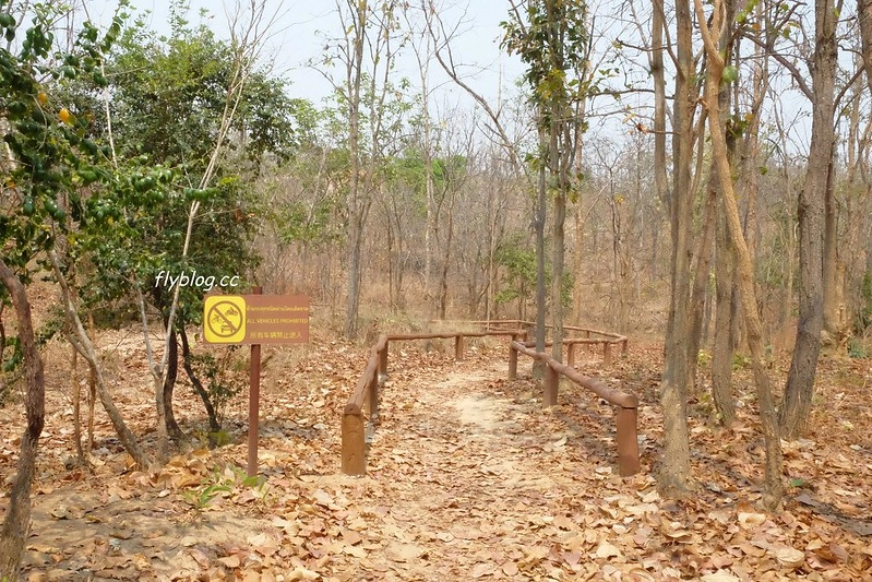 泰國清邁｜帕丘峽谷 Pha Chor｜清邁近郊小秘境，1.5車程即可抵達，四個女子的美麗冒險 @飛天璇的口袋