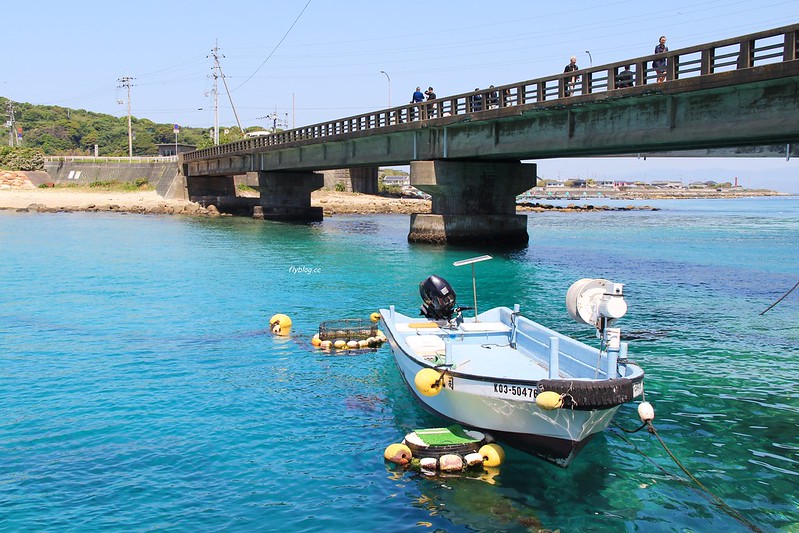 柏島．Kashiwajima┃日本高知：日本的蘭佩杜薩島，超療癒的IG熱門打卡點 @飛天璇的口袋