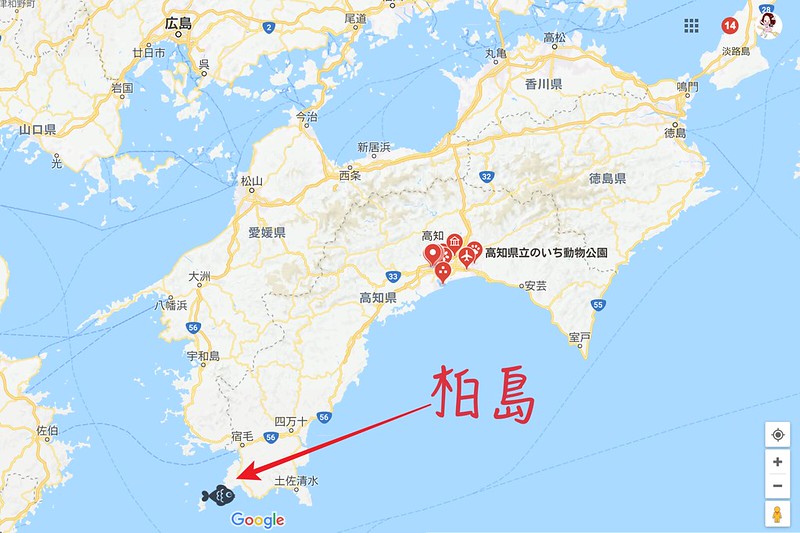 柏島．Kashiwajima┃日本高知：日本的蘭佩杜薩島，超療癒的IG熱門打卡點 @飛天璇的口袋