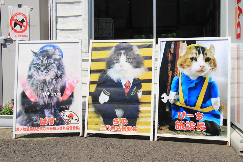 日本福島｜芦ノ牧溫泉駅．超療癒的貓咪站長Love，會津鐵道蘆之牧溫泉車站 @飛天璇的口袋