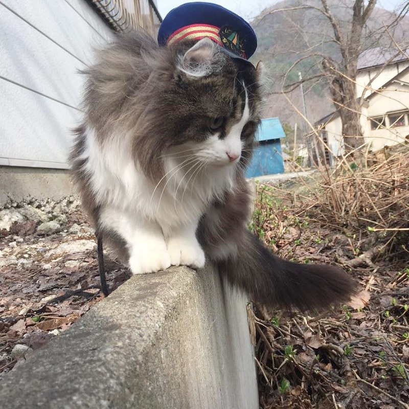 日本福島｜芦ノ牧溫泉駅．超療癒的貓咪站長Love，會津鐵道蘆之牧溫泉車站 @飛天璇的口袋
