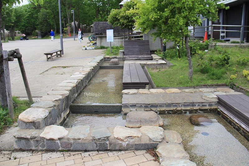 日本福島｜Angel Forest 天使之森那須白河．可愛的森林小圓屋，山林間的寵物友善飯店 @飛天璇的口袋