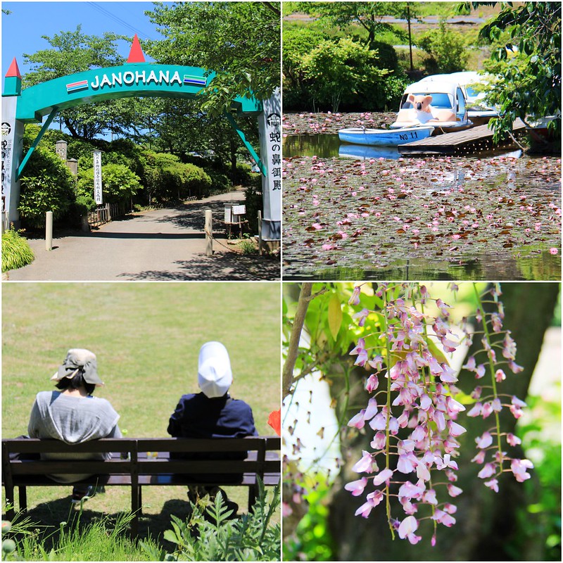 日本福島｜福島5天4夜自由行．春暖花開之福島自由行規劃總表，美食、景點、住宿推薦！ @飛天璇的口袋