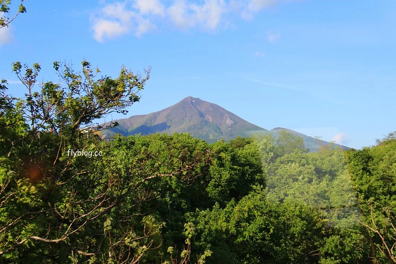 日本福島｜福島號 Fruitea甜點列車．鐵道迷必追奔馳的咖啡館，JR磐越西線的會津若松-郡山限定 @飛天璇的口袋