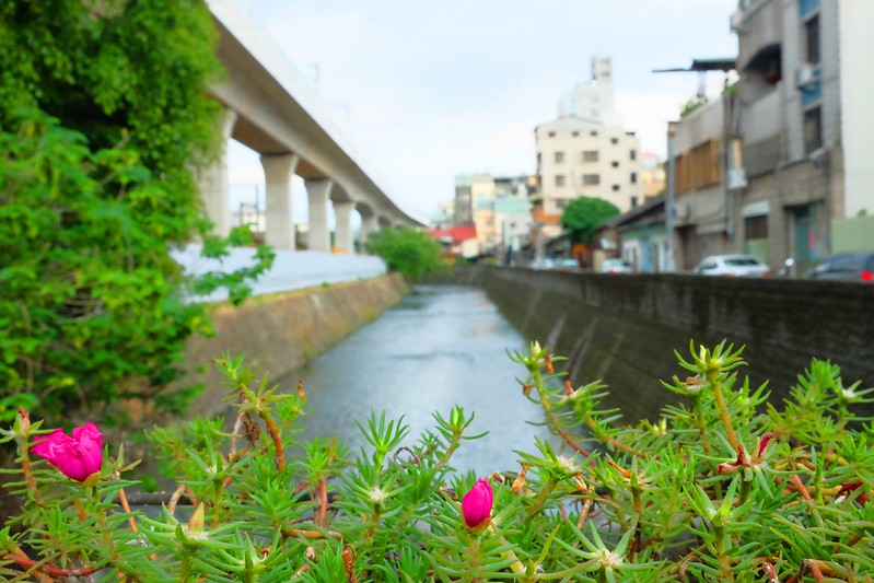 台中一日遊┃台中旅遊：台中日式微旅行，探訪台中的京都，走入古蹟現場，文化巡禮導覽 @飛天璇的口袋