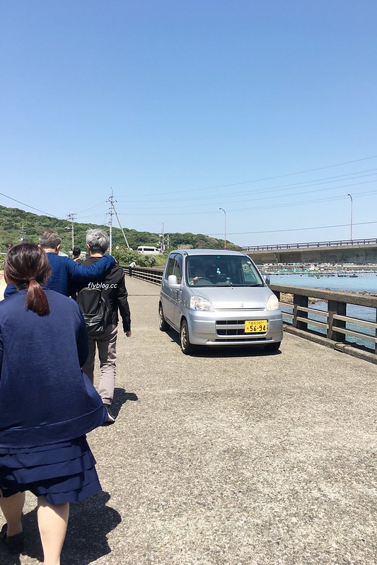 柏島．Kashiwajima┃日本高知：日本的蘭佩杜薩島，超療癒的IG熱門打卡點 @飛天璇的口袋