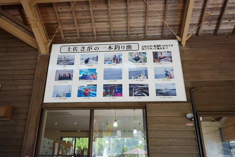 黑潮一番館．鰹のたたき┃日本高知：稻草炙燒鰹魚DIY，高知必吃美食推薦 @飛天璇的口袋